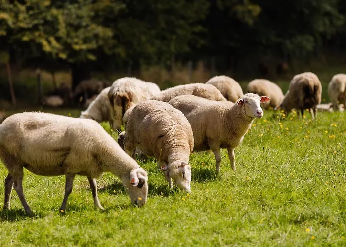 Horská chata Widokowa Trojwies Istebna